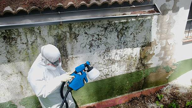 Top rated local Mold Remediation specialists in Malvern, PA